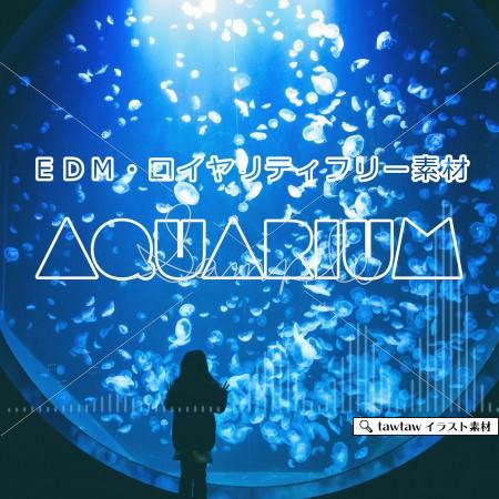 EDM BGM素材「Aquarium」ジャケット画像