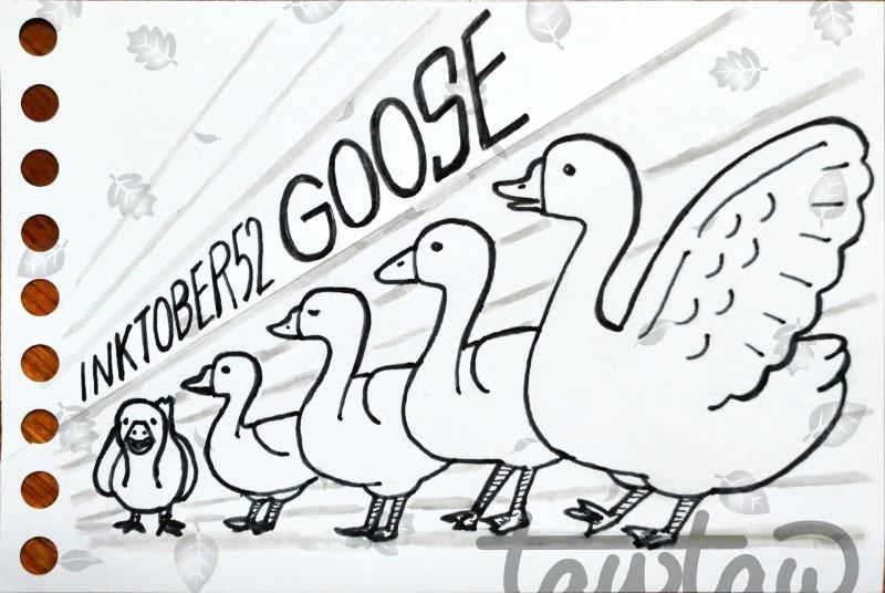 A simple ink drawing. Five geese lined up in perspective. The four in front face left, and the one in the back faces forward. The words “INKTOBER52 Goose” appear at the top.